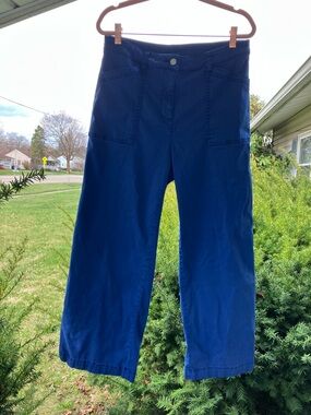 Joie Royal Blue Cropped Wide-Leg Pants